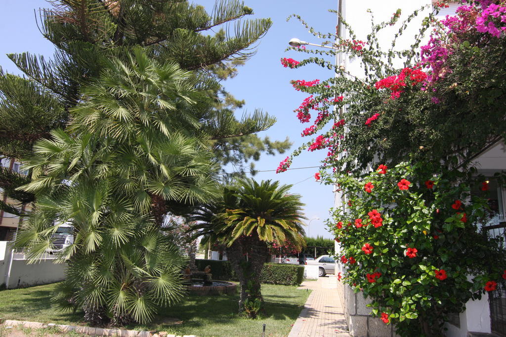 Benicarló Hotel Sol מראה חיצוני תמונה